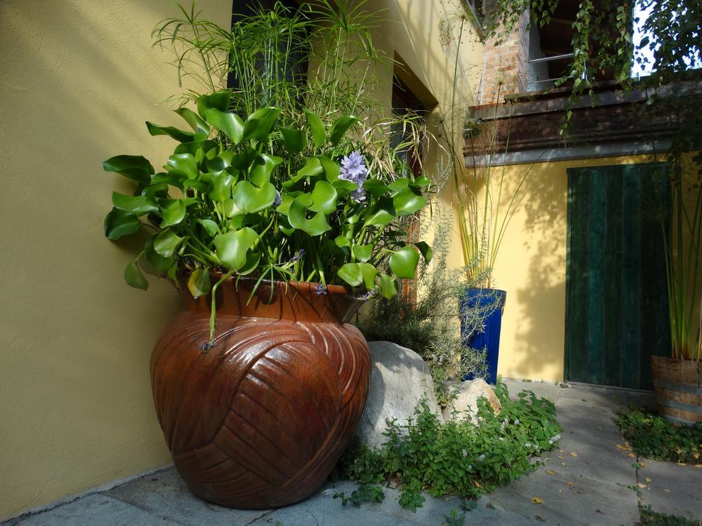 Agriturismo Casa De Colores Moretta Kültér fotó