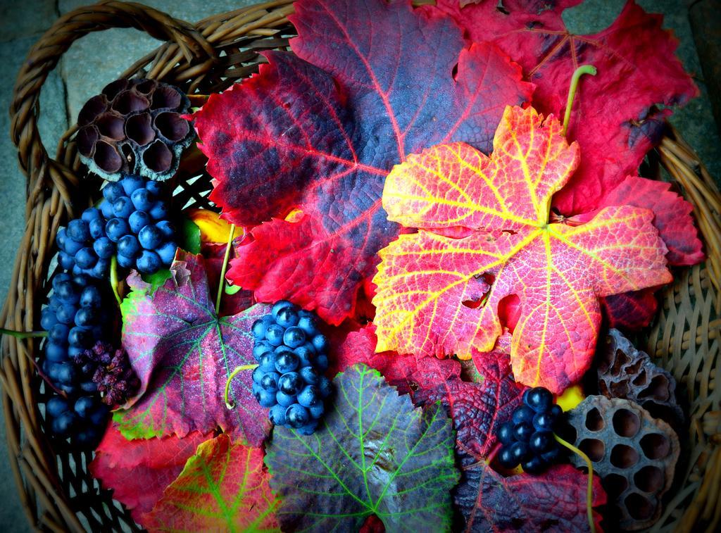 Agriturismo Casa De Colores Moretta Kültér fotó