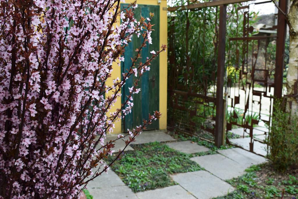 Agriturismo Casa De Colores Moretta Kültér fotó